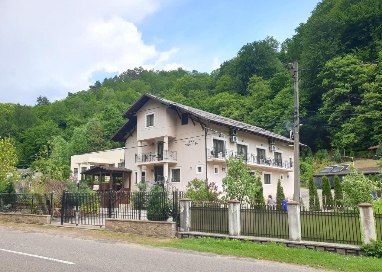 Vila Tisa Tismana Zewnętrze zdjęcie