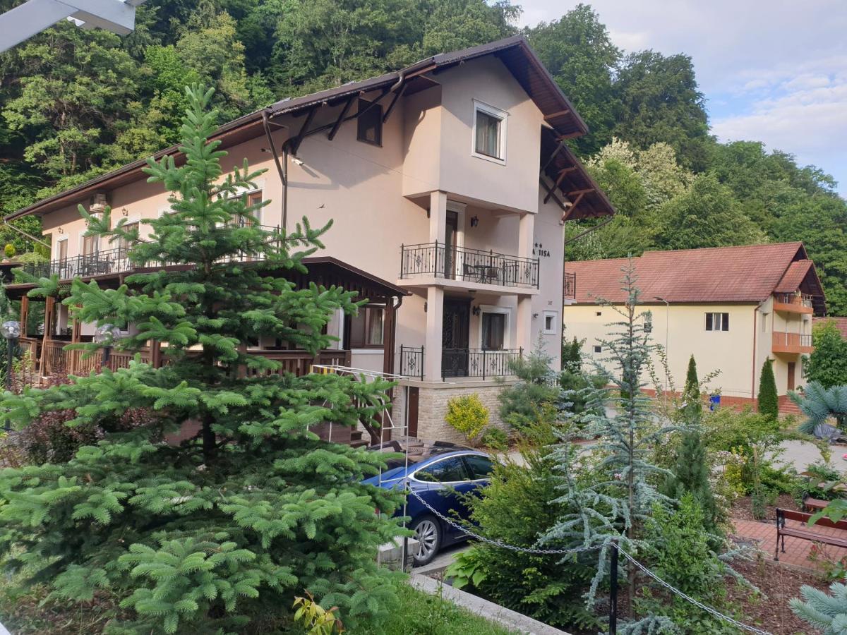 Vila Tisa Tismana Zewnętrze zdjęcie