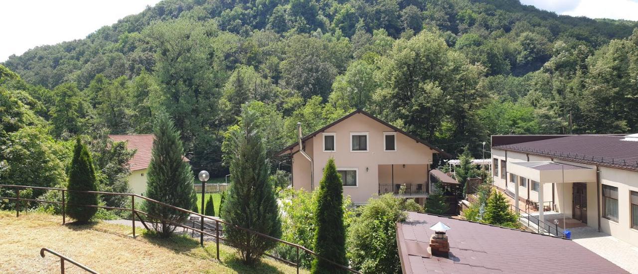 Vila Tisa Tismana Zewnętrze zdjęcie