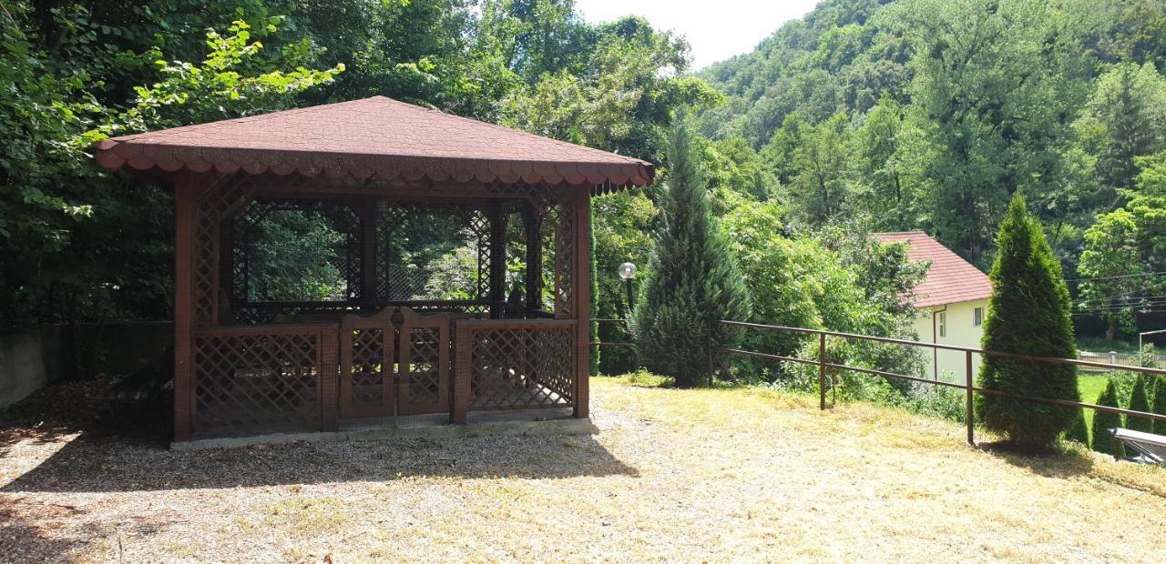 Vila Tisa Tismana Zewnętrze zdjęcie
