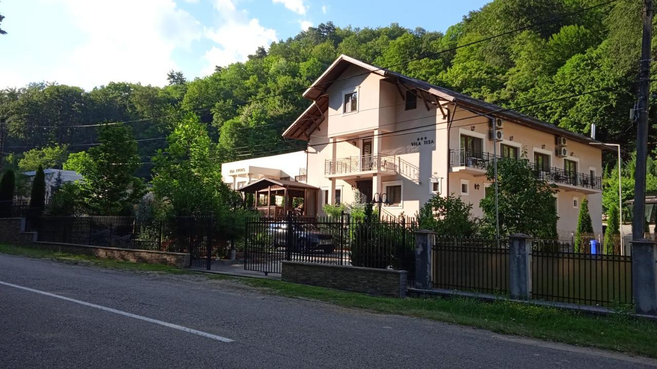 Vila Tisa Tismana Zewnętrze zdjęcie